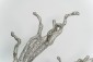 stainless steel sculpture